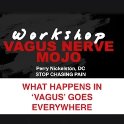 Workshop Vagus Nerve Mojo