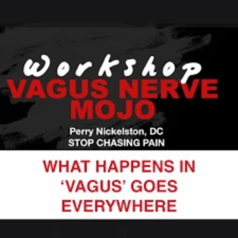 Workshop Vagus Nerve Mojo